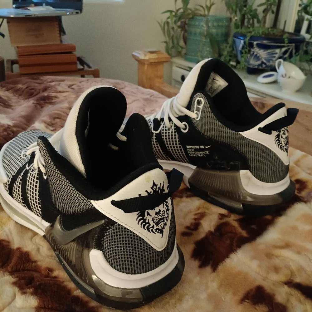 LeBron Nike Witness VII HO22 performance basketball